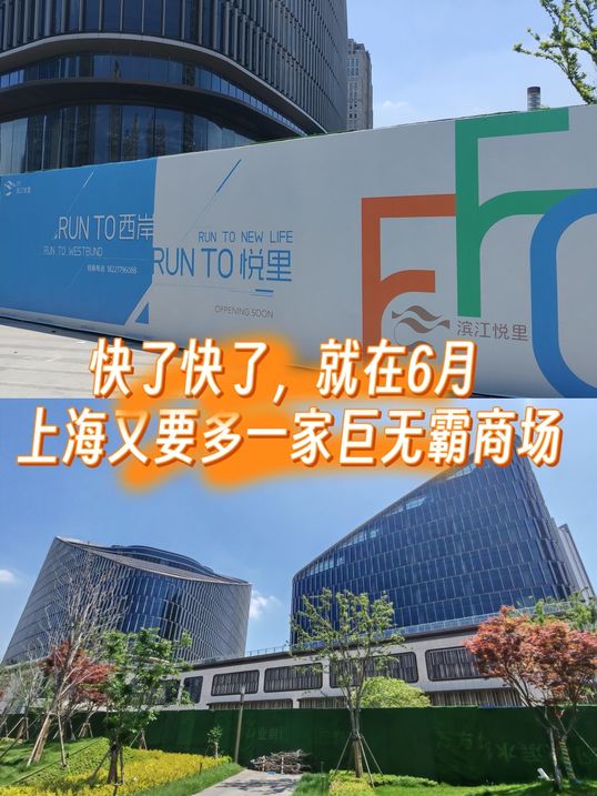 附近高分榜单又更新了